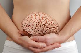 SEGUNDO CEREBRO ¿O ES EL PRIMERO?