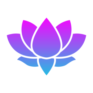 Reset Transformación